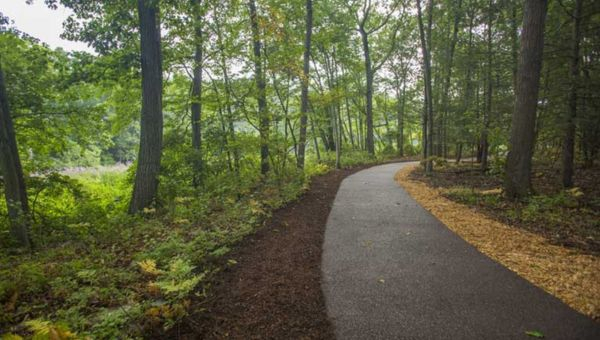 Permeable Paving is Great for Your Pathways  